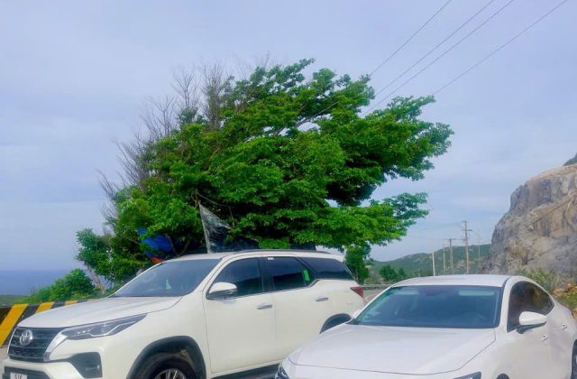 Du lịch Phan Rang – Vĩnh Hy đi phương tiện nào?
